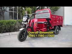 プロJinpeng DLS150