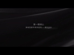 Geelyのカエデの葉80V