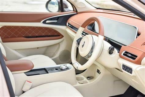 150km/h ECOの友好的な電気自動車400KM ORAよい猫の純粋な電気自動車