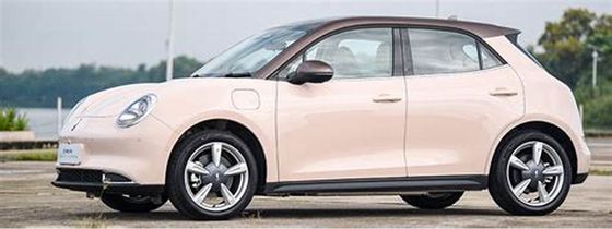 150km/h ECOの友好的な電気自動車400KM ORAよい猫の純粋な電気自動車