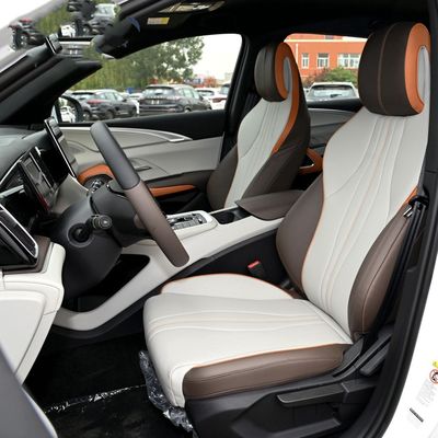 自動電気自動車を操縦するLHD