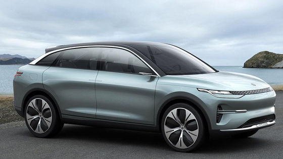 大人のための自動車高速電気自動車SUV新しいエネルギーLingpao C11