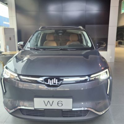 WM W6の大きい電気自動車520KM 620KM新しいエネルギーWeltmeisterの電気自動車SUV