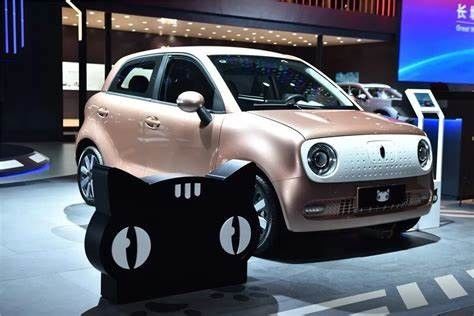 351KM女性のための電気小型EV車のEulerの黒猫新しいエネルギーVehices 102km/h