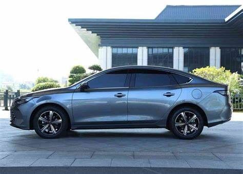 理性的な中古の電気自動車