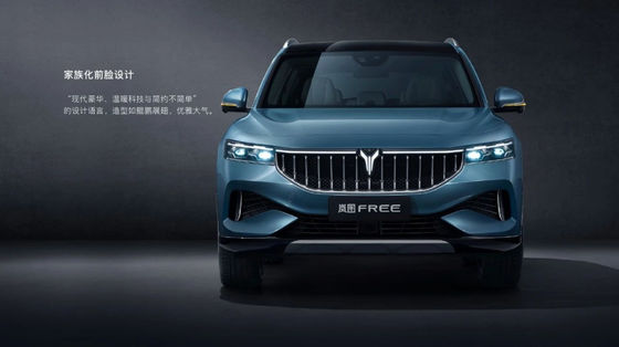 Voyahの自由な4WD高性能の電気自動車200Km/h車860kmの範囲