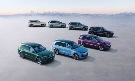 42.8kWh電池6の座席電気SUV