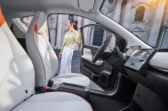 チェリーニューエネルギー リトルアント ミニエレクトロニクス 車 多色 速度100km/h