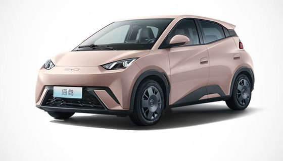 高性能2023年 新型ビッド・シーガール 電気自動車 全閉 4輪電気自動車