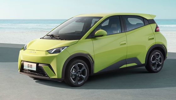 高性能2023年 新型ビッド・シーガール 電気自動車 全閉 4輪電気自動車