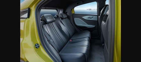 最新発売 BYD EVカー- アダルト EV ビッド シガール 2023 フリーエディション ソーラー電動車