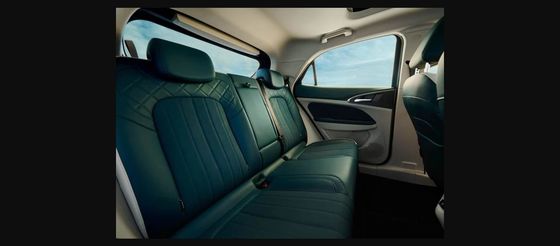 GWM?? S Ora Cat EV RHD ORA 03 500 Km Range EV 南アフリカ 48~63kwh バッテリー容量