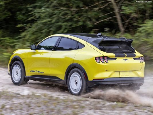 ユニークなラリーサスペンション,ファミリーカーアウト レースの感覚 フォード・ムスタング マック-E ラリー (2024) 480馬力