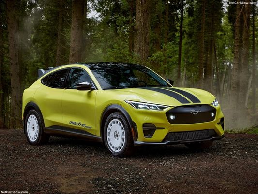 ユニークなラリーサスペンション,ファミリーカーアウト レースの感覚 フォード・ムスタング マック-E ラリー (2024) 480馬力