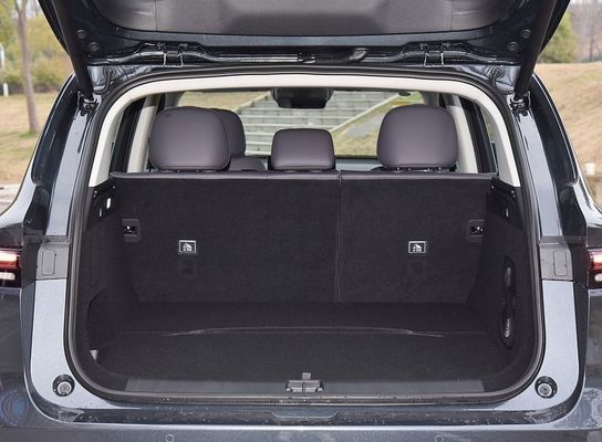 リップモーター C10 C10 基本EVSUV 新エネルギー車両 純電気自動車 リンパオ リップモーター C10