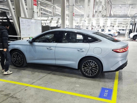 プレセール2024 BYD キーン L DM-i 80km 電動車 到着 近いうちにハイブリッドカー 1.5T 101ps L4 新型 エンジェリーカー