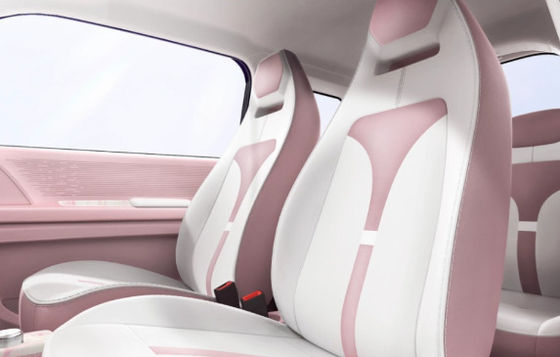 マルチカラーオプション ミニエブカーズ ジド レインボー 205km CLTP 17.13/17.3kwh バッテリー 20&30kw パワー